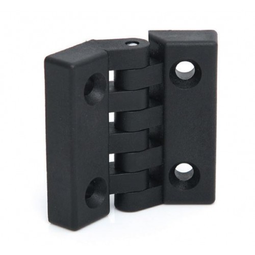 Plastic Hinge